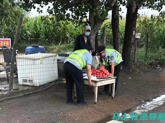 护航畅通：收费站站长在安全管理工作中的实践与创新